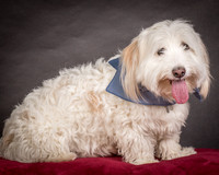 Foster Frosty-0544