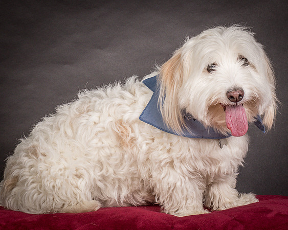 Foster Frosty-0544