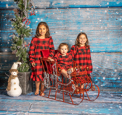 Fitzgerald-9868