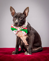 Foster Seymour-3661