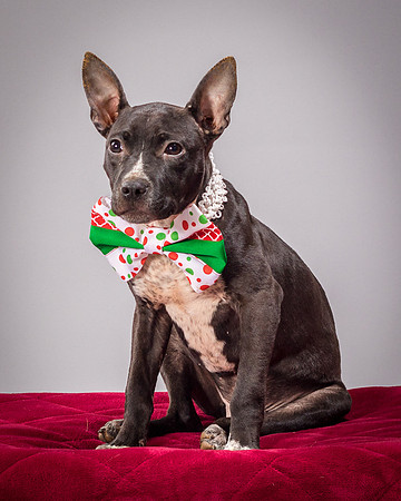 Foster Seymour-3661