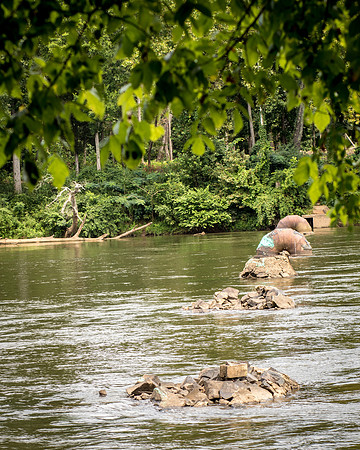 Kayaking Catawba-4940