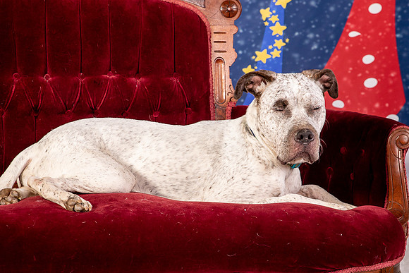 Foster Sylvester-0958