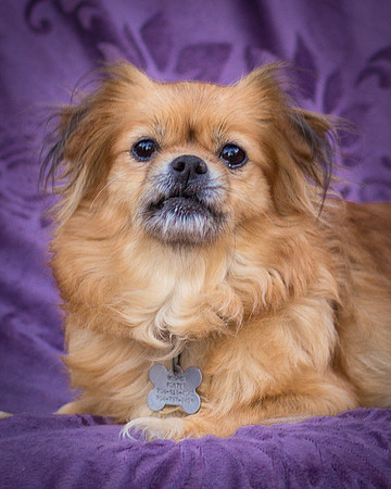 Foster Tia Maria-7852