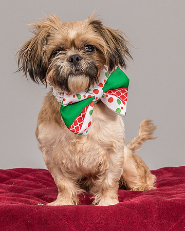 Foster Toffee-4628