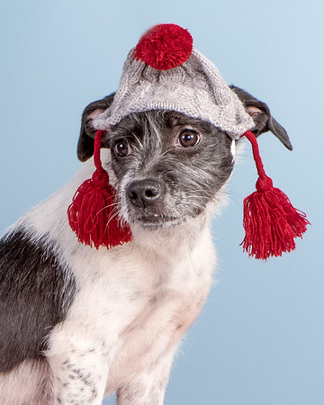 Foster Billie-8239