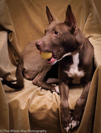 Foster Twix-0522
