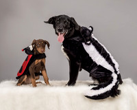 Tellier-0560