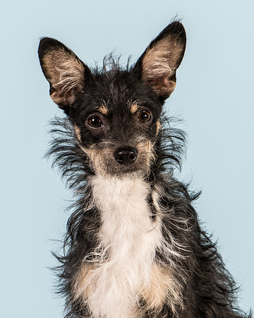 Foster Riley-5032