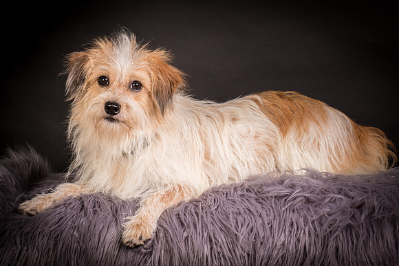 Foster Tiny-1279