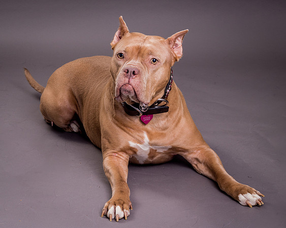 Maggie Griner-7492