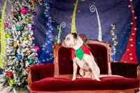 08 Foster Sylvester