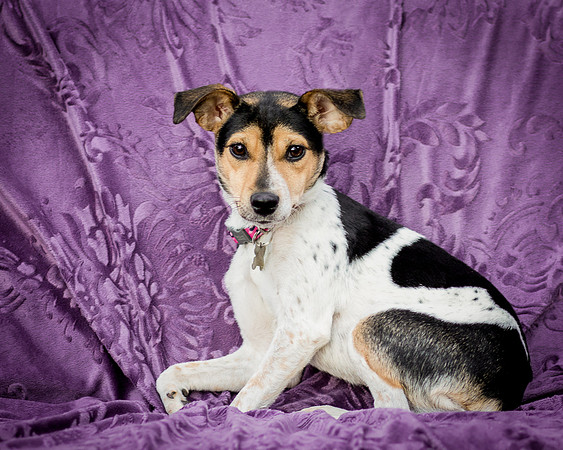 Foster Buffy-5646