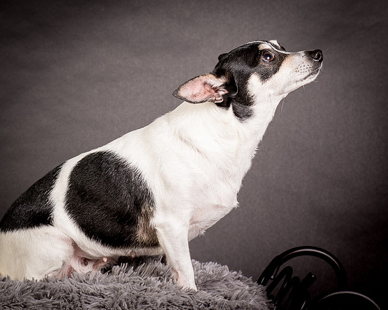 Foster Richa-0479