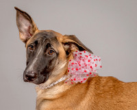 Foster Gabby-3950