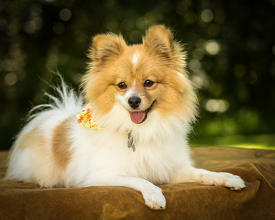 Foster Sydney-7559