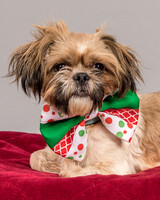 Foster Toffee-4623