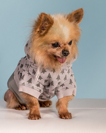 Foster Horace-0919