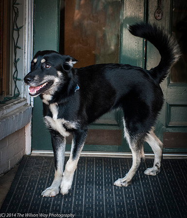Foster Mala-9450