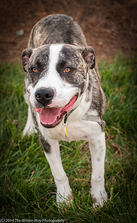 Foster Louie-9686