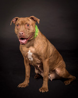 Foster Coco-2025