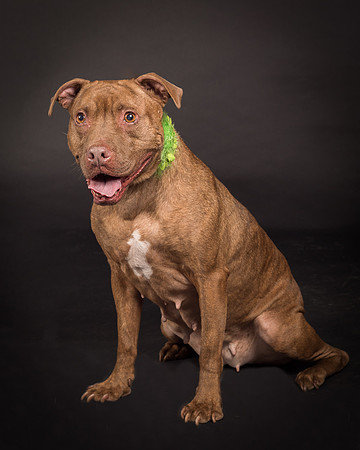 Foster Coco-2025