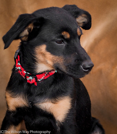 Foster Holister-9684