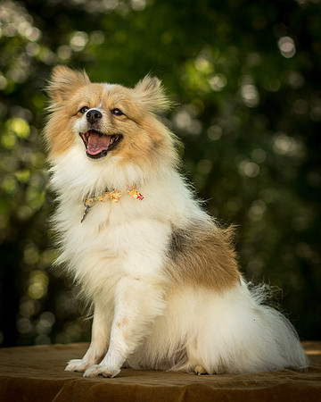 Foster Sydney-7686