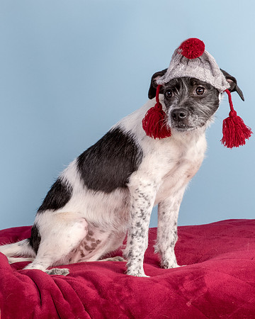 Foster Billie-8240