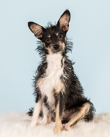 Foster Riley-5049