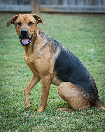 Foster Maya-0400