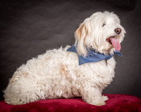 Foster Frosty-0539