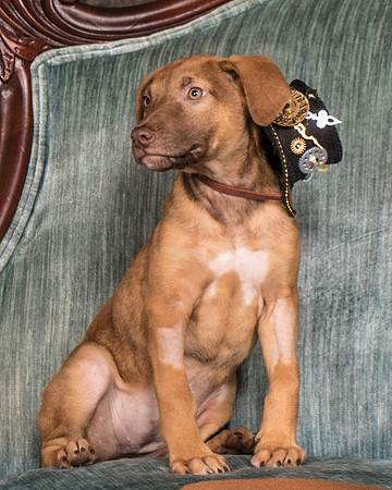 Foster Bronwyn-8336
