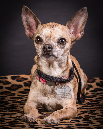 Foster Selina-1227