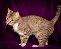 Foster Danni-9535