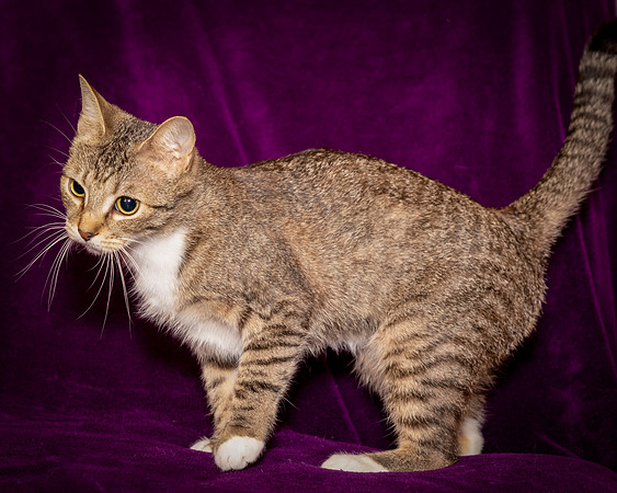Foster Danni-9535