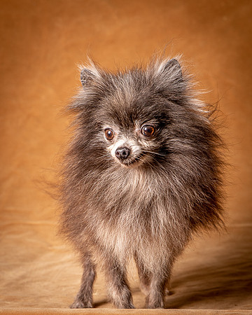 Foster Loretta-1283