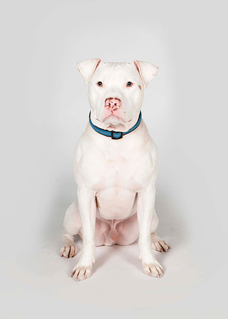 20141109_9791