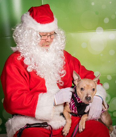 Foster-2263