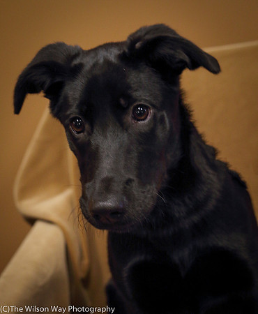 Foster Nadirah-0544