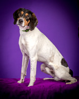 Foster Goofy-0924