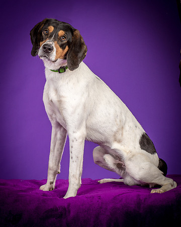 Foster Goofy-0924