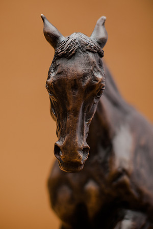 KTM-Horse Sculpture-0892