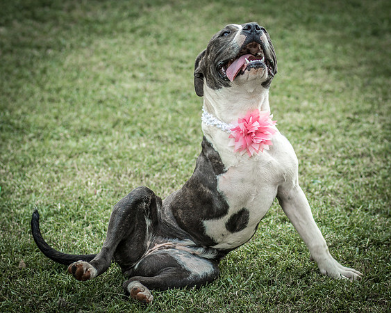 Foster Maya-0314