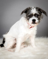 Foster Leeza-2549