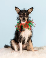 Foster Riley-4985