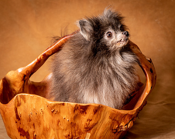 Foster Loretta-1324