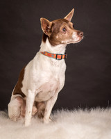 Foster Gus-0295