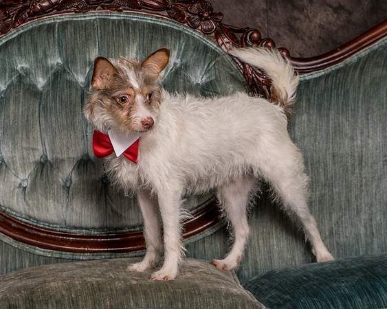 Foster Reagan-4870