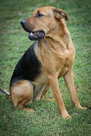 Foster Maya-0417
